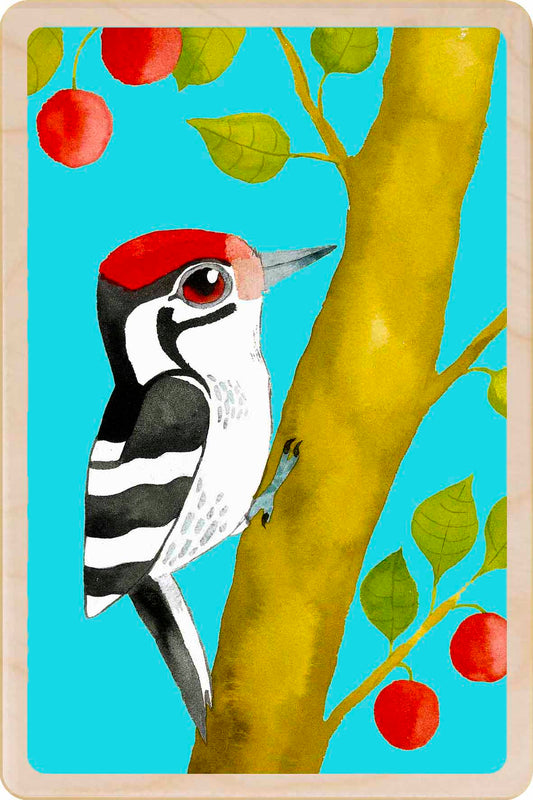 Lesser Spotted Woodpecker – Sustainable Wooden Postcard