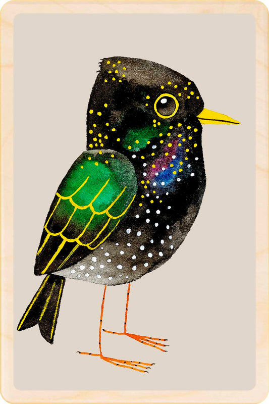 Starling - bird Illustration wooden postcard by Matt Sewell