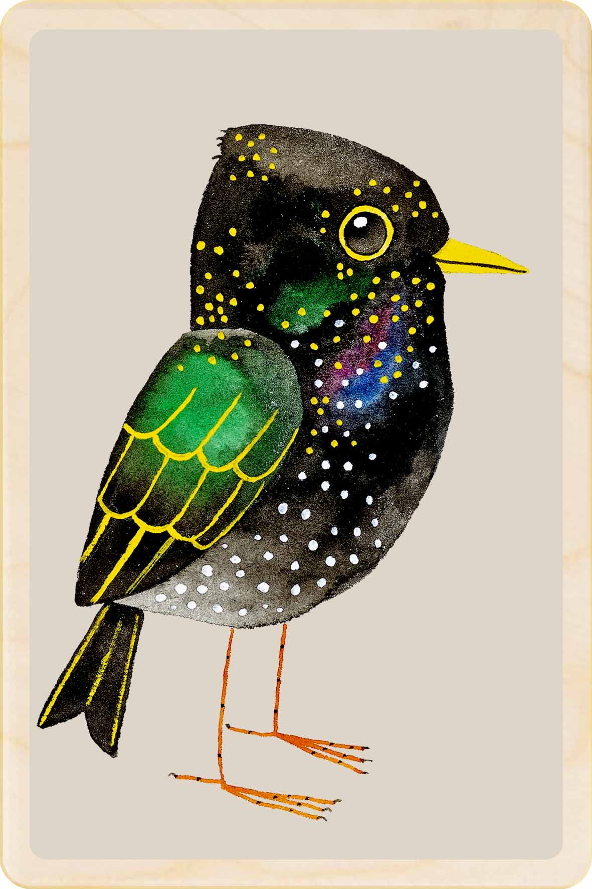 Starling wooden postcard by Matt Sewell