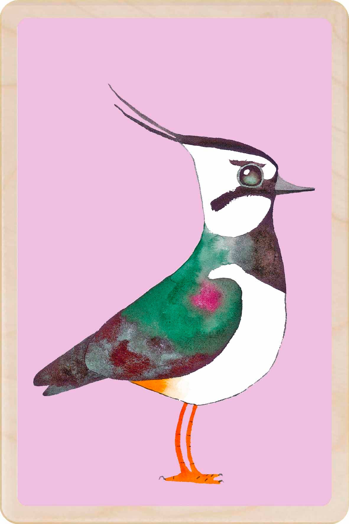 Lapwing - bird Illustration wooden postcard by Matt Sewell