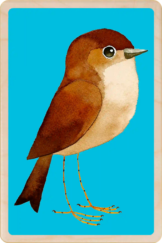 Nightingale. Eco-friendly wooden postcard to send, gift or keep and display. The Wooden Postcard Company