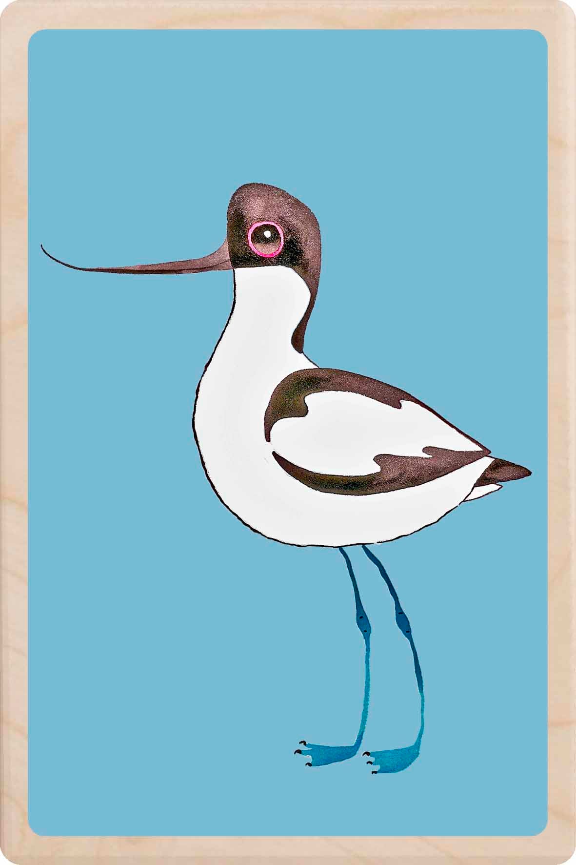 AVOCET