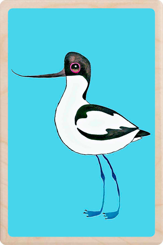avocet - bird Illustration wooden postcard by Matt Sewell