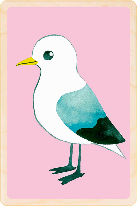 KITTIWAKE