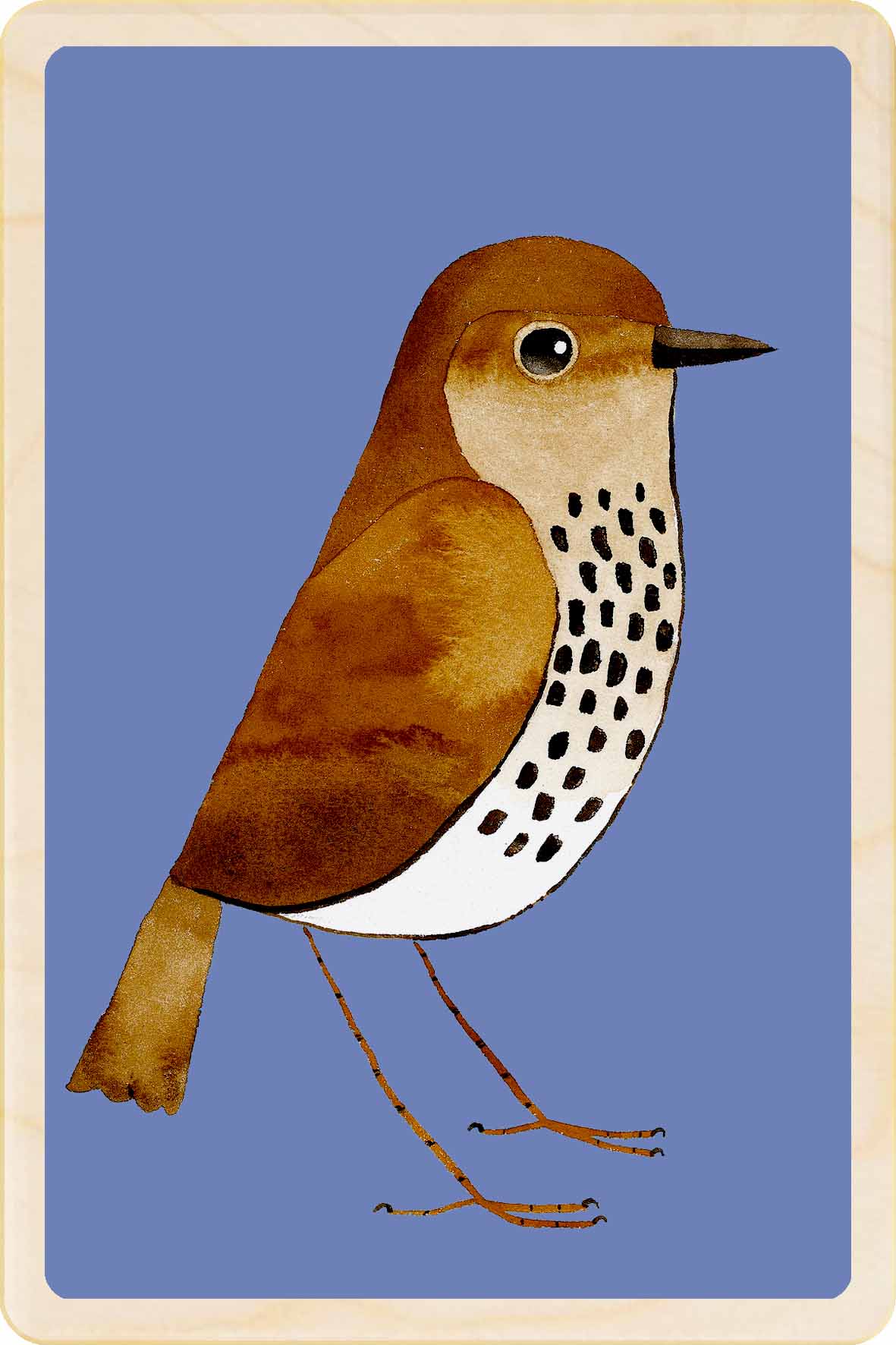 Songthrush wooden postcard by Matt Sewell