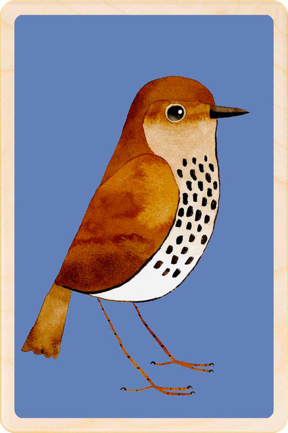 Songthrush wooden postcard by Matt Sewell