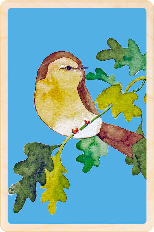 Chiffchaff - bird Illustration wooden postcard by Matt Sewell