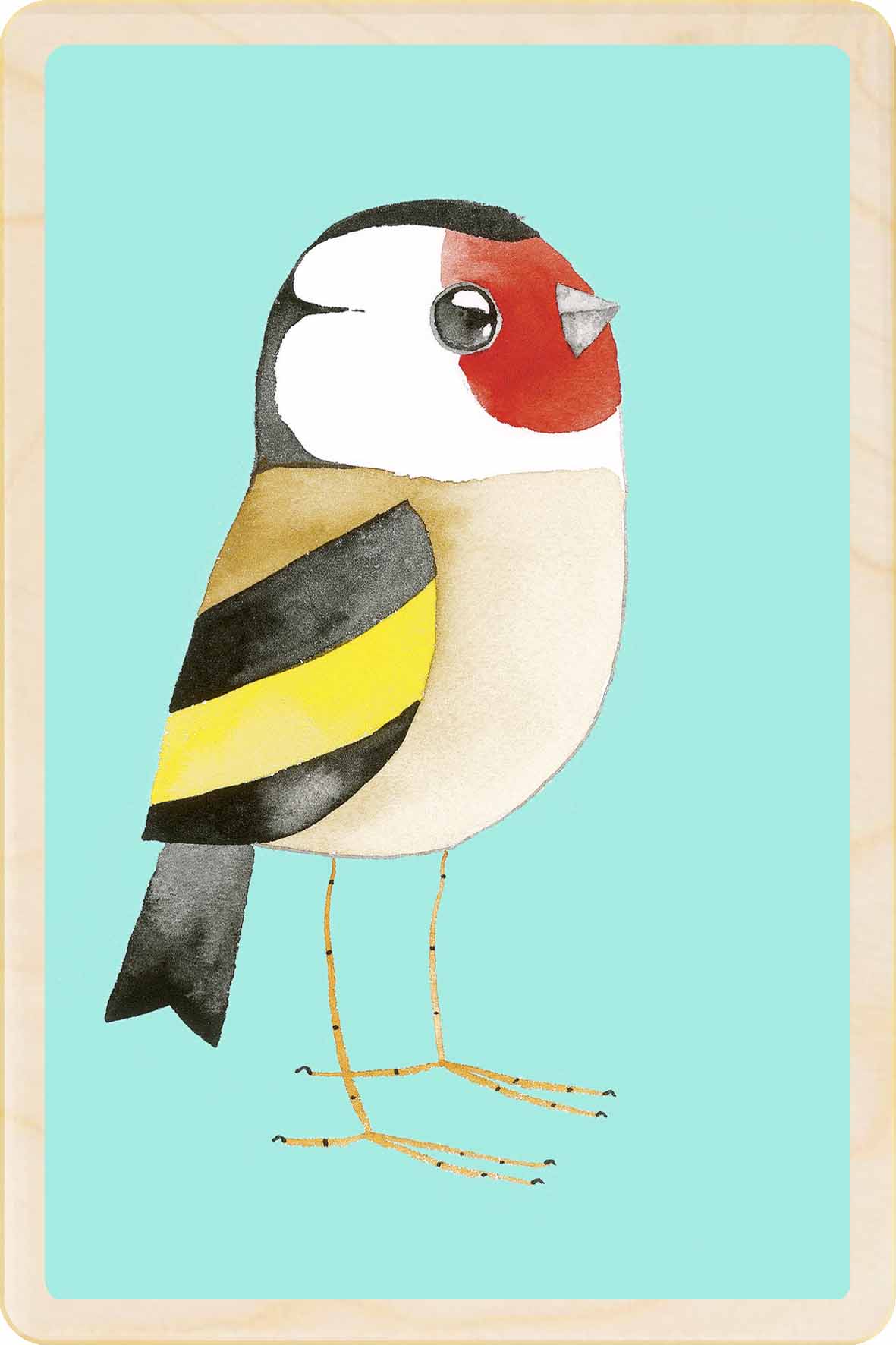 GOLDFINCH