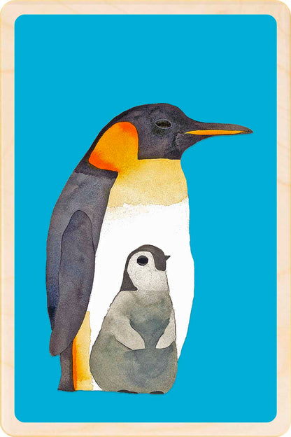 Emperor Penguin wooden postcard by Matt Sewell