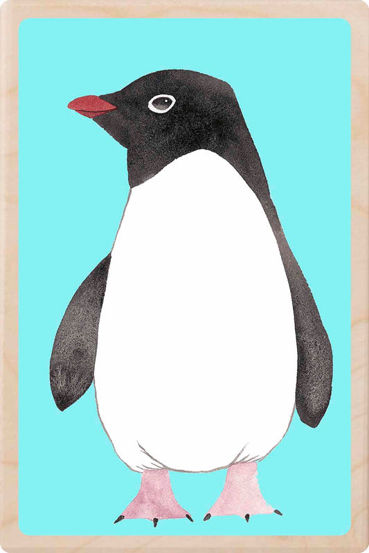 penguin- bird Illustration wooden postcard by Matt Sewell