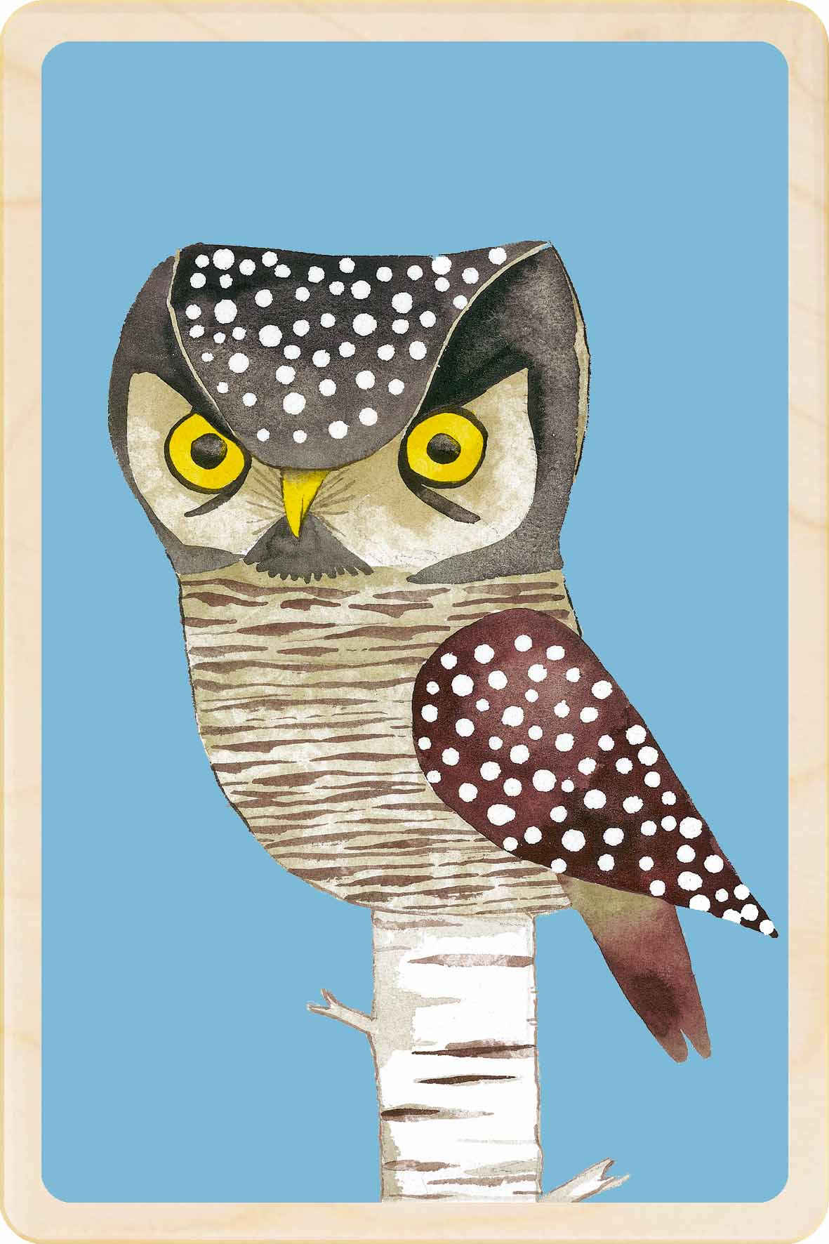 hawk owl - bird Illustration wooden postcard by Matt Sewell