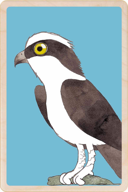 OSPREY