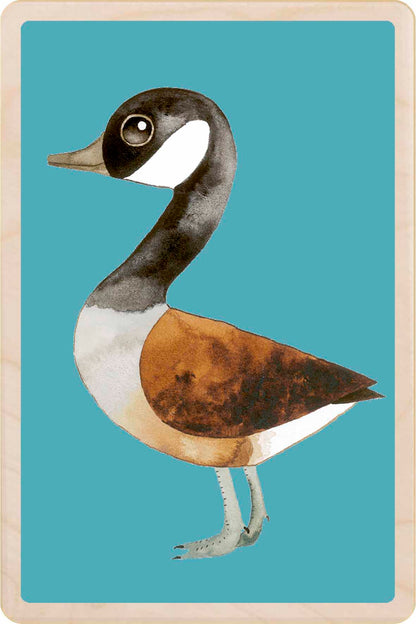 canada goose - bird Illustration wooden postcard by Matt Sewell