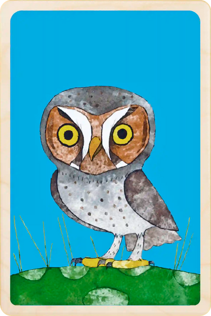 Elf Owl. Eco-friendly wooden postcard to send, gift or keep and display. Original illustration ©Matt Sewell's American Birds. The Wooden Postcard Company