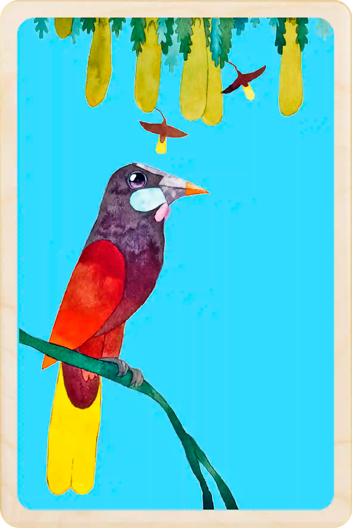 Montezuma Oropendula. Eco-friendly wooden postcard to send, gift or keep and display. Original illustration ©Matt Sewell's American Birds. The Wooden Postcard Company
