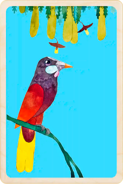 Montezuma Oropendula. Eco-friendly wooden postcard to send, gift or keep and display. Original illustration ©Matt Sewell's American Birds. The Wooden Postcard Company