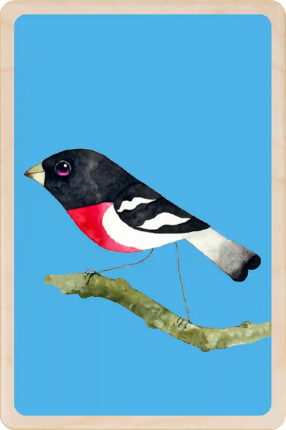 Grosbeak