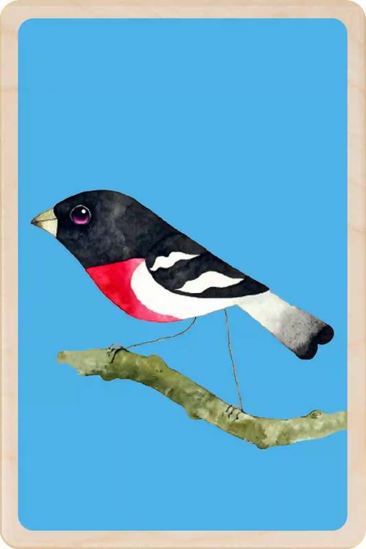 Grosbeak