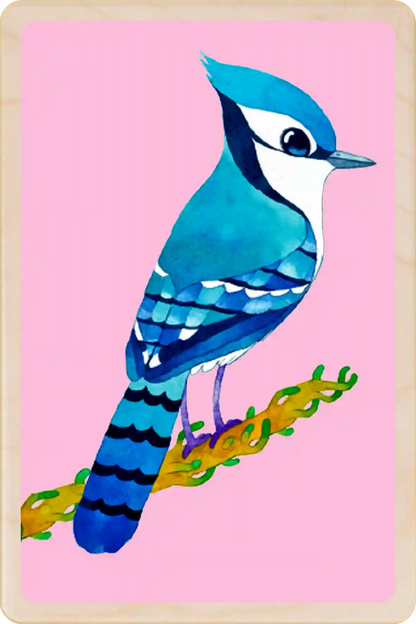 Blue Jay. Eco-friendly wooden postcard to send, gift or keep and display. The Wooden Postcard Company