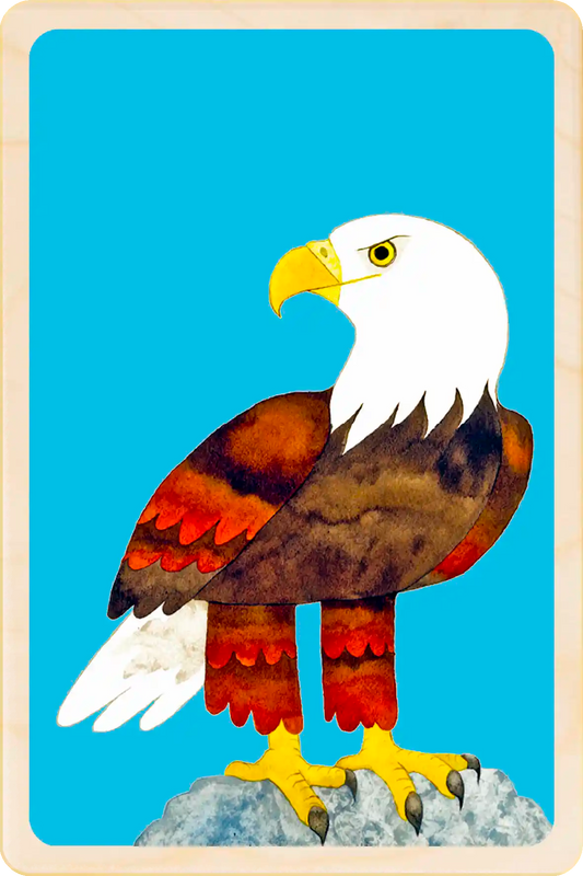 Bald Eagle – Sustainable Wooden Postcard
Printed on sustainable wood in Suffolk, it’s ready to send or display. Write on the back with any pen and post with a standard stamp—no envelope required. A great little gift.