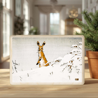 Snow and Hare