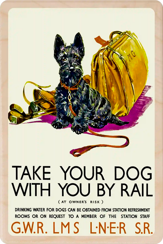 TAKE YOUR DOG