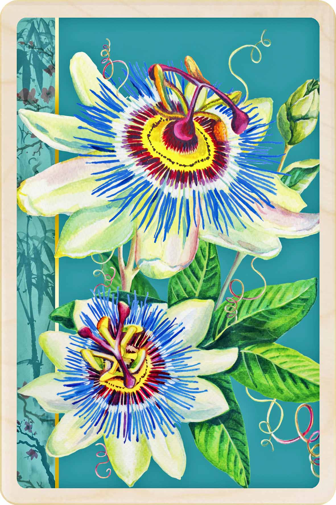 PASSION FLOWER