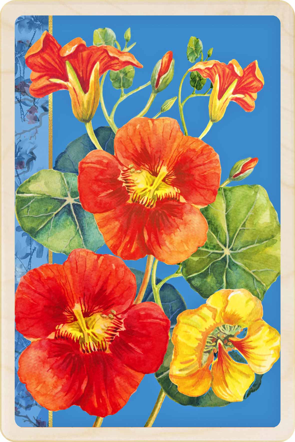 NASTURTIUM