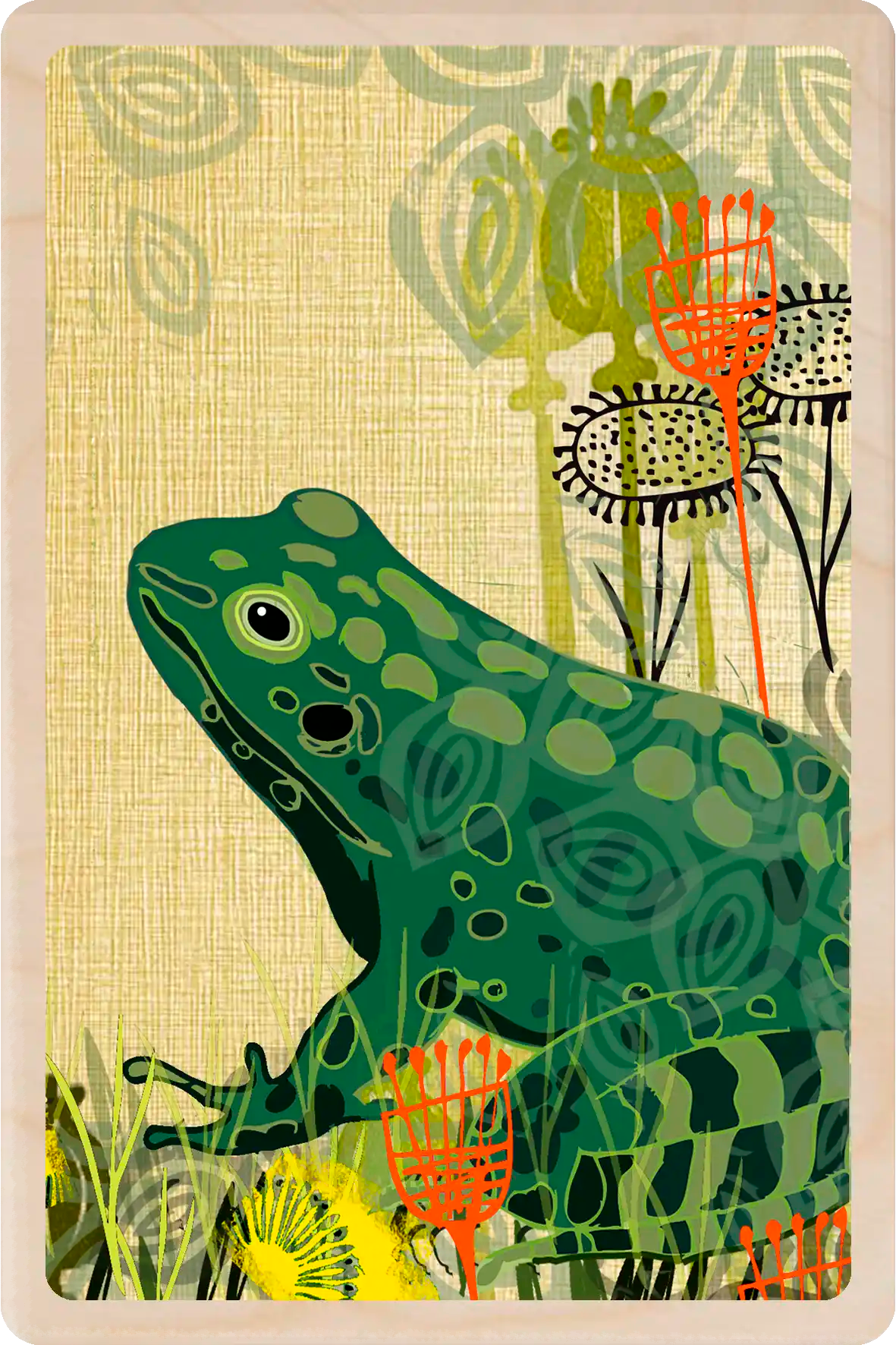 Frog, Wooden Postcard to send and to keep. The Wooden postcard Company.