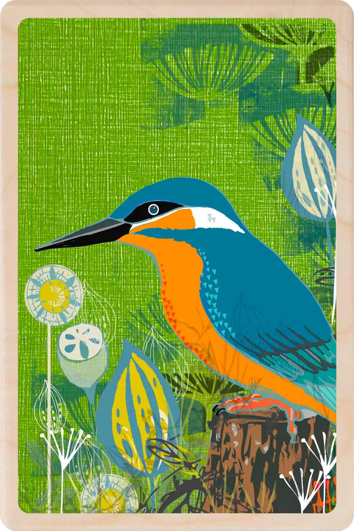 Kingfisher, Wooden Postcard to send and to keep. The wooden Postcard Company