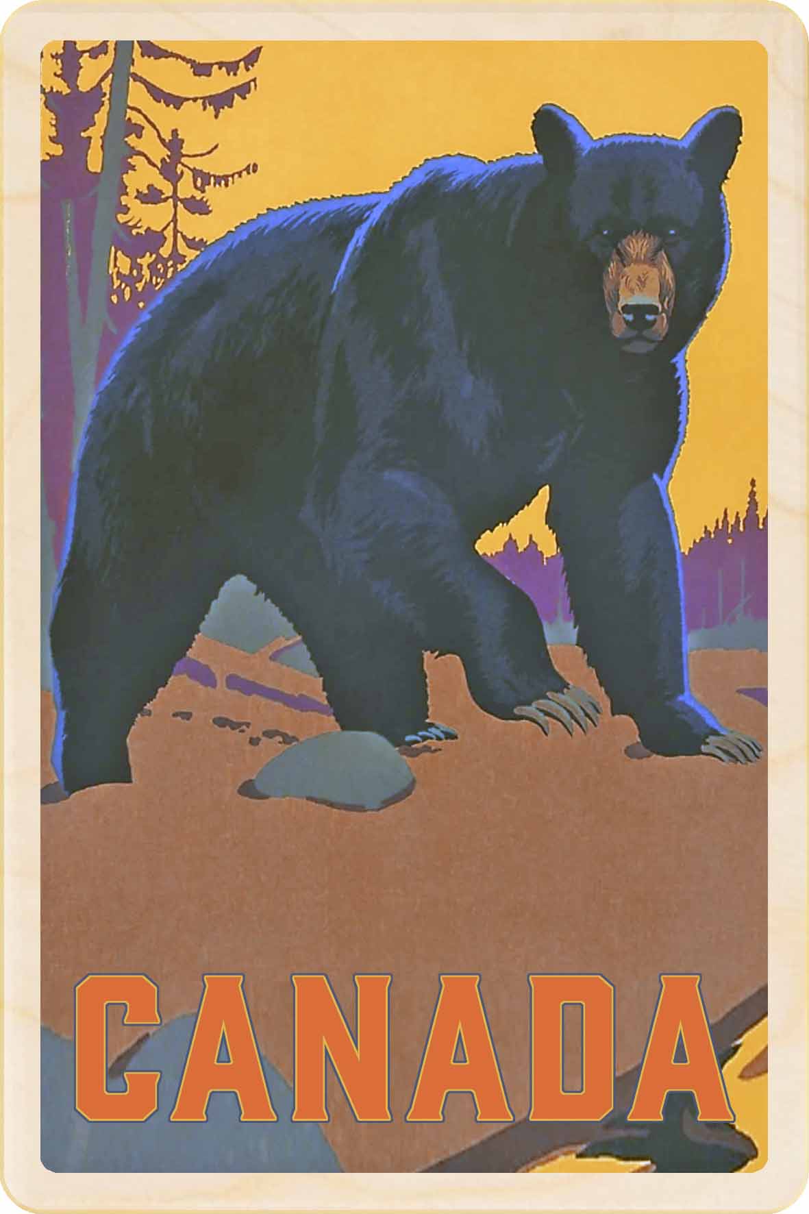 CANADA BEAR