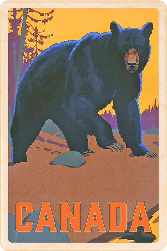 CANADA BEAR