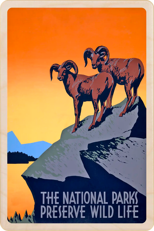  Dall sheep - Alaska – Eco-friendly Card - Wooden Postcard

Write on the back with any pen and post worldwide with a standard stamp. A smart, eco-friendly card and gift.