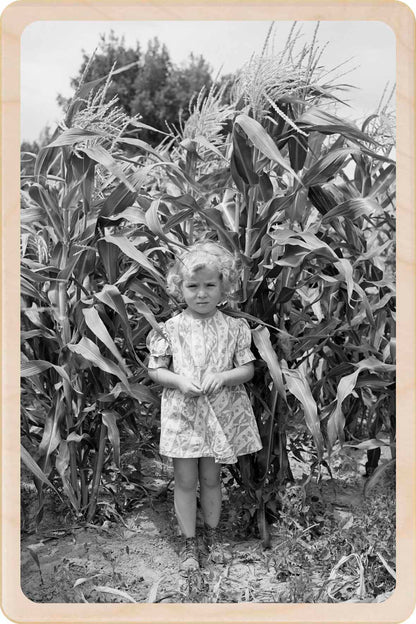Vintage black and white photo of a young girl standing in a cornfield. Utah Farmer's Daughter&nbsp; - Original photography by Russel Lee - Eco-friendly Card - Wooden Postcard

Write on the back with any pen and post worldwide with a standard stamp. A smart, eco-friendly card and gift.
