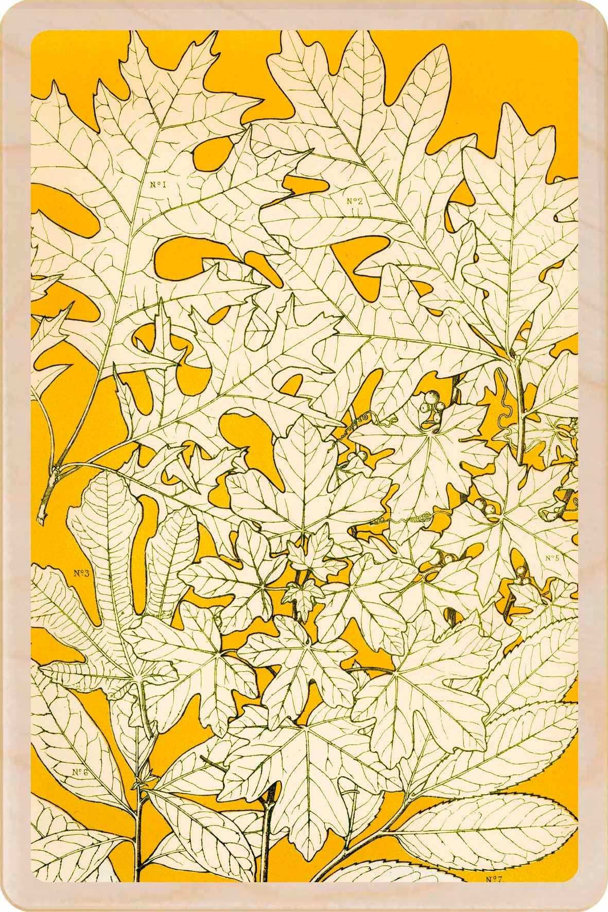 Card with white leaf pattern on a yellow background. Oak Leaves - Sustainable card - Wooden Postcard

Original illustration printed on sustainable wood. A beautiful card to send, gift and display.
