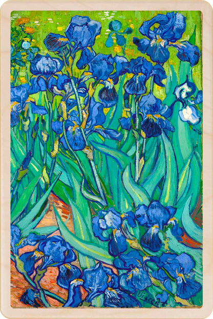 IRISES