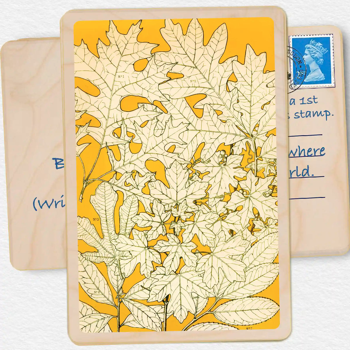 Oak Leaves, Sustainable card, Wooden Postcard. 19th century botanical illustration by Own Jones. A beautiful card to send, gift and display. The Wooden Postcard Company