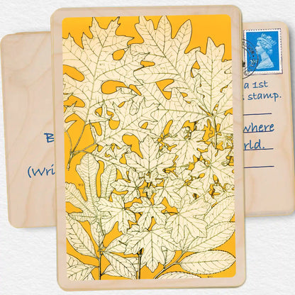 Oak Leaves, Sustainable card, Wooden Postcard. 19th century botanical illustration by Own Jones. A beautiful card to send, gift and display. The Wooden Postcard Company