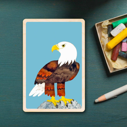 bald eagle - bird Illustration wooden postcard by Matt Sewell 