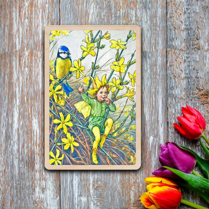Winter jasmine Fairy