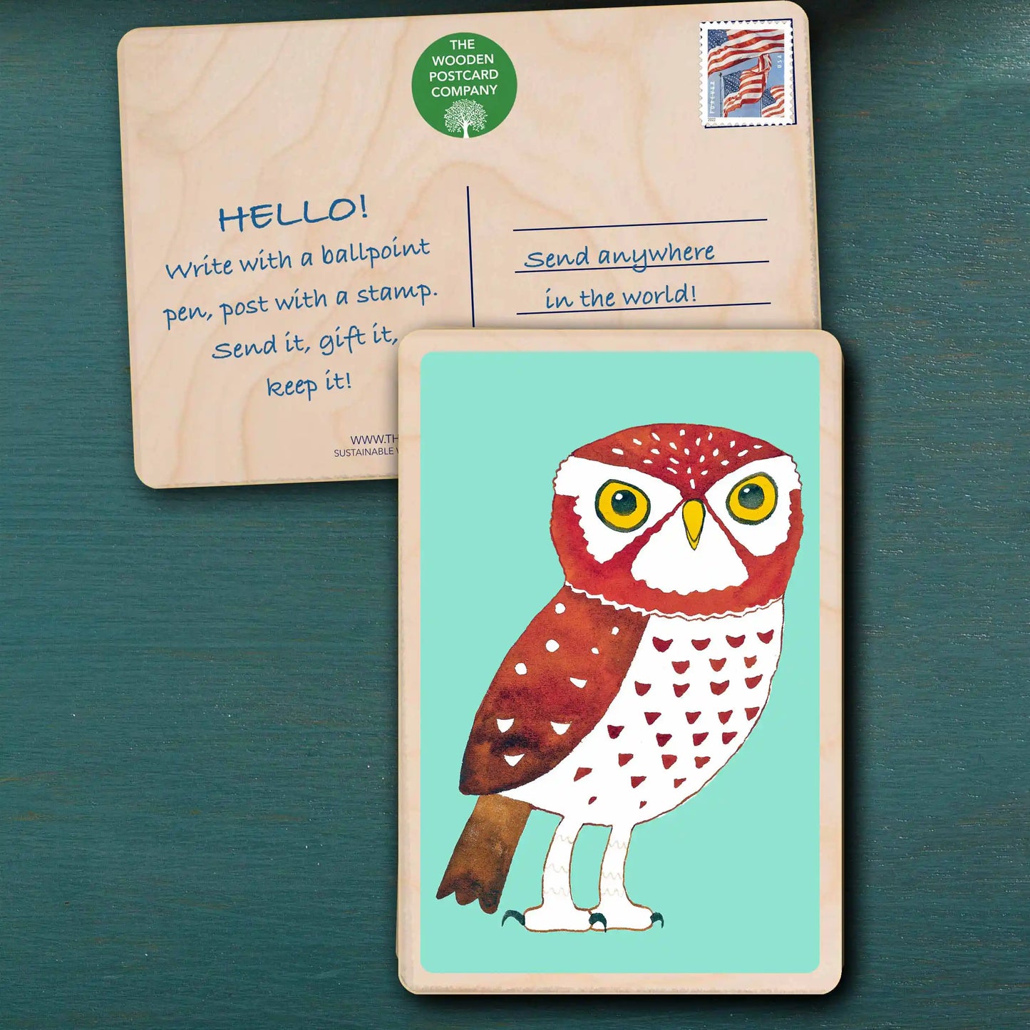 Little Owl