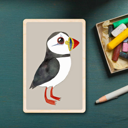 Puffin