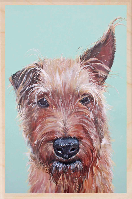 TERRIER