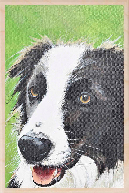 SHEPHERD