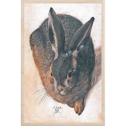 YOUNG HARE