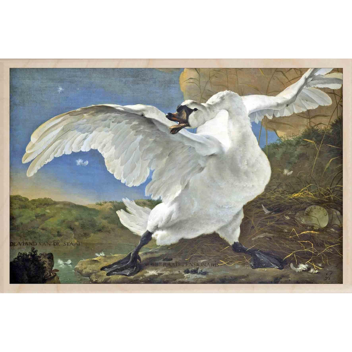 THE SWAN