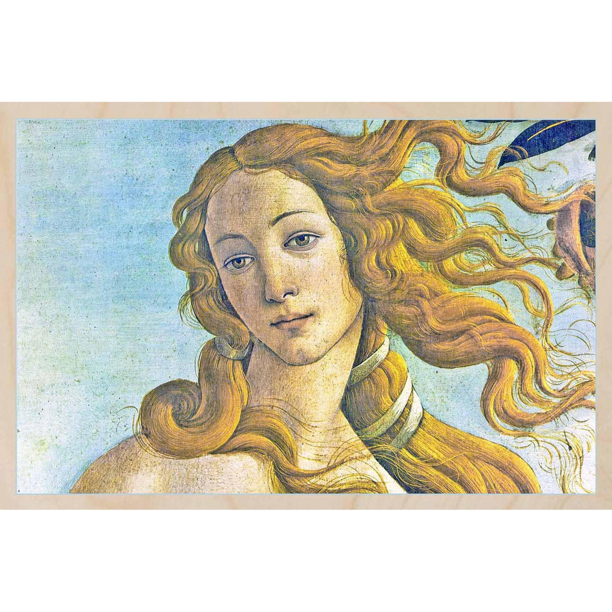 BIRTH OF VENUS
