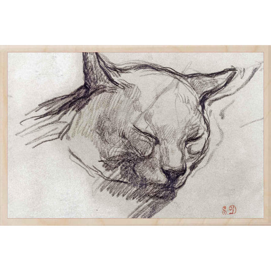 DELACROIX, CAT