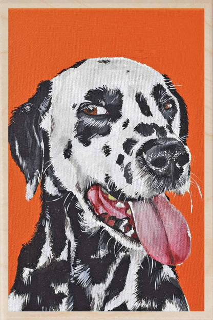 ENGLISH SETTER