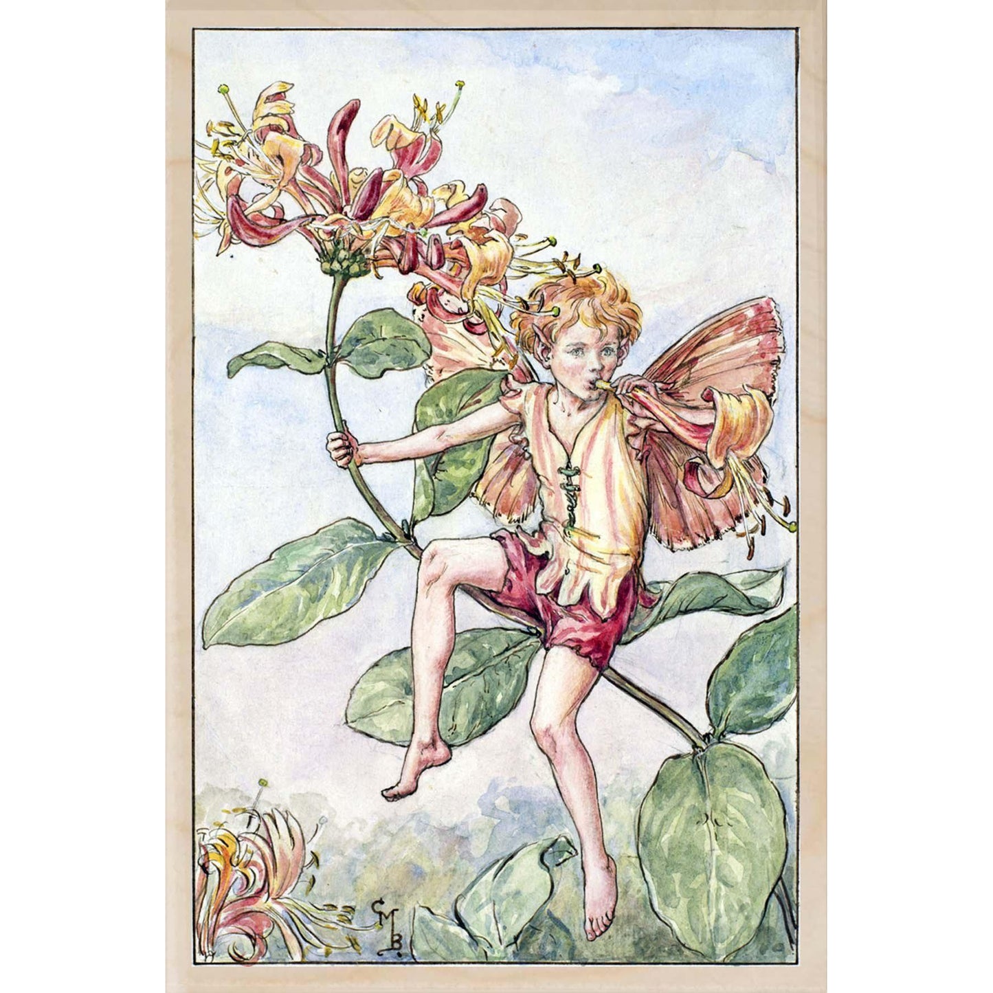 HONEYSUCKLE FAIRY